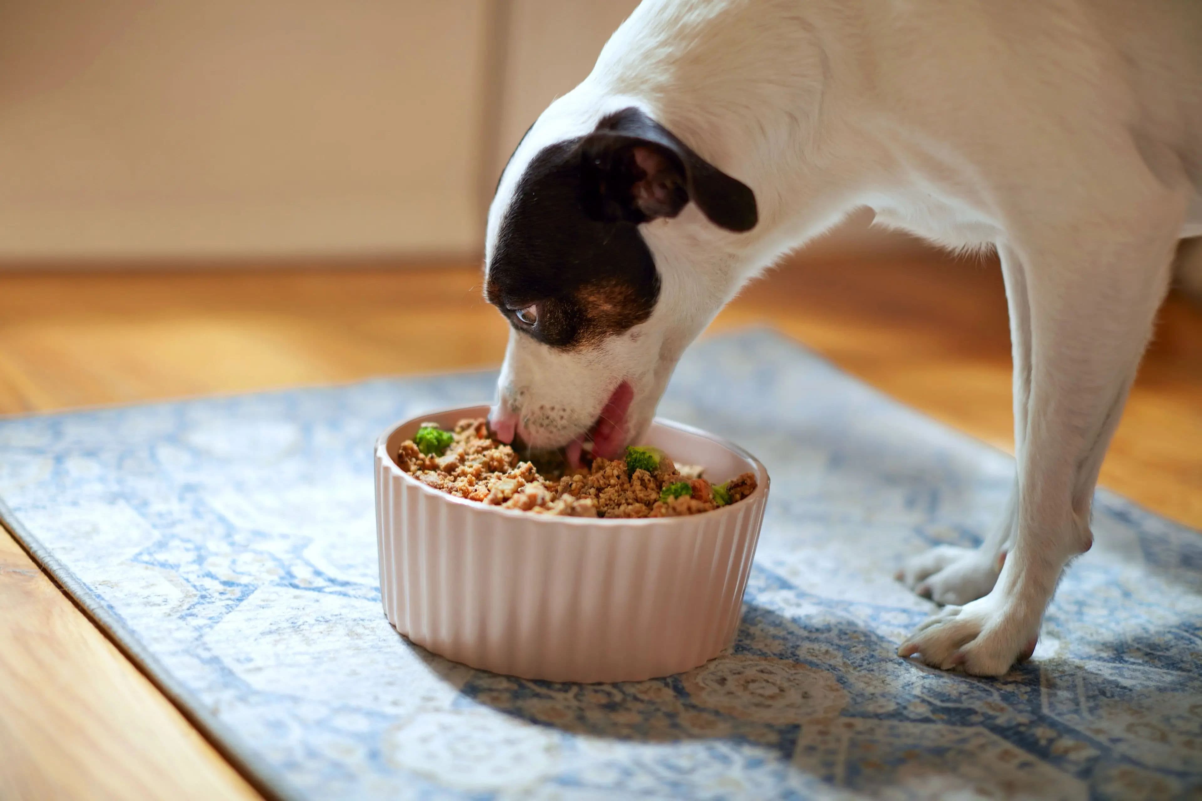 Featured post - Rodeo Dog Slop: Real Food for Real Dogs